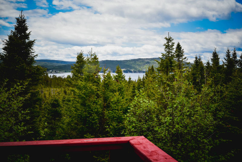Dylan Cottage Oceanfront View